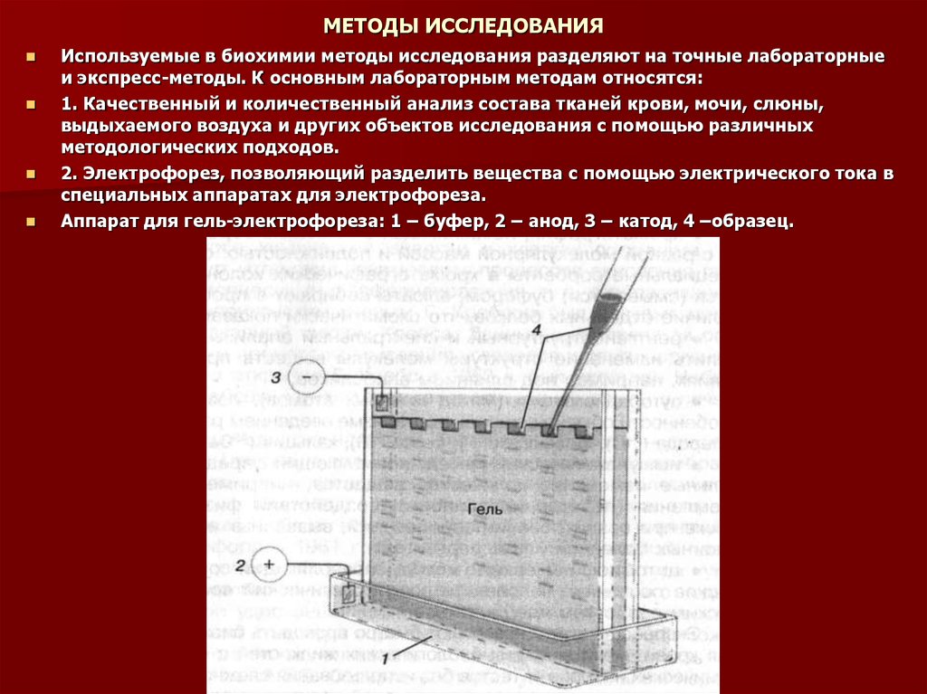 Исследования н. К биохимическим методам относятся. Биохимический метод приборы. Биохимический метод относится к методам изучения. Методы количественного анализа используемые в биохимии.