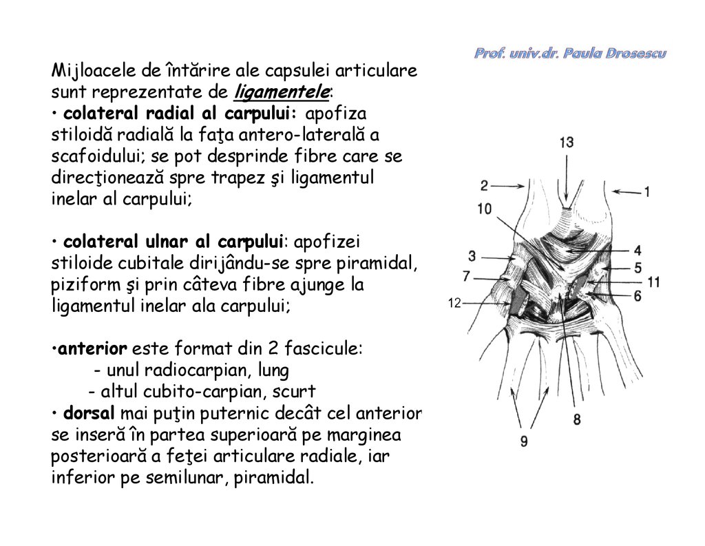 mijloace pentru întărirea articulațiilor și ligamentelor