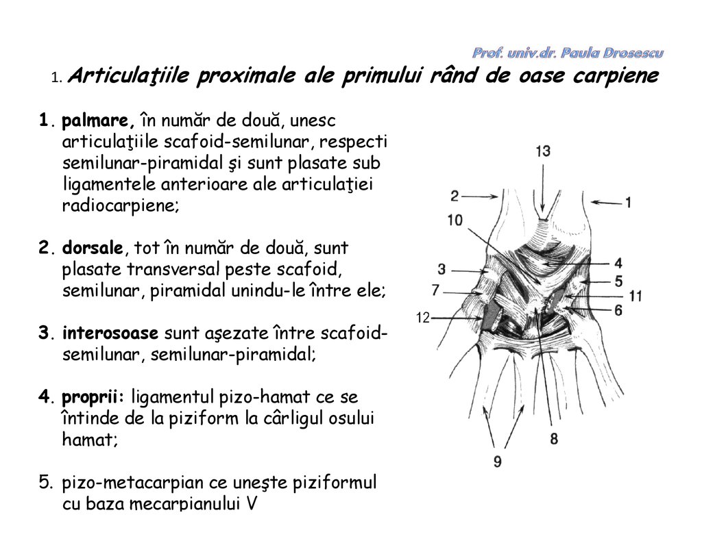 articulațiile se întind atunci când sunt întinse