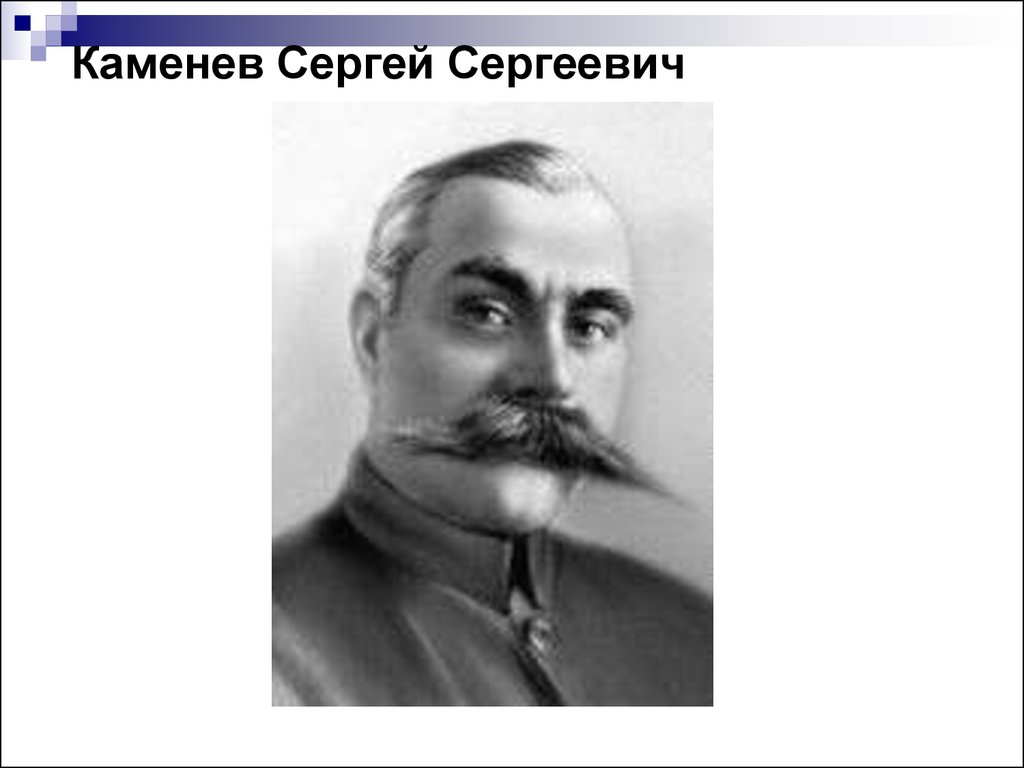 Каменев. Сергей Сергеевич Каменев. Командарм 1 ранга Каменев Сергей Сергеевич. Каменев с.с. (1881-1936). Каменев Гражданская война.