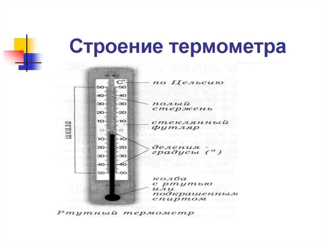 Подпиши части термометра. Схема строения термометра. Строение термометра. Строение градусника. Из чего состоит термометр.