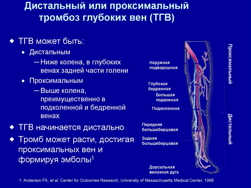 Основной тромб. Артериальный тромбоз нижних конечностей клиника. Тромб в венах нижних конечностей. Поверхностный тромбоз артерий.