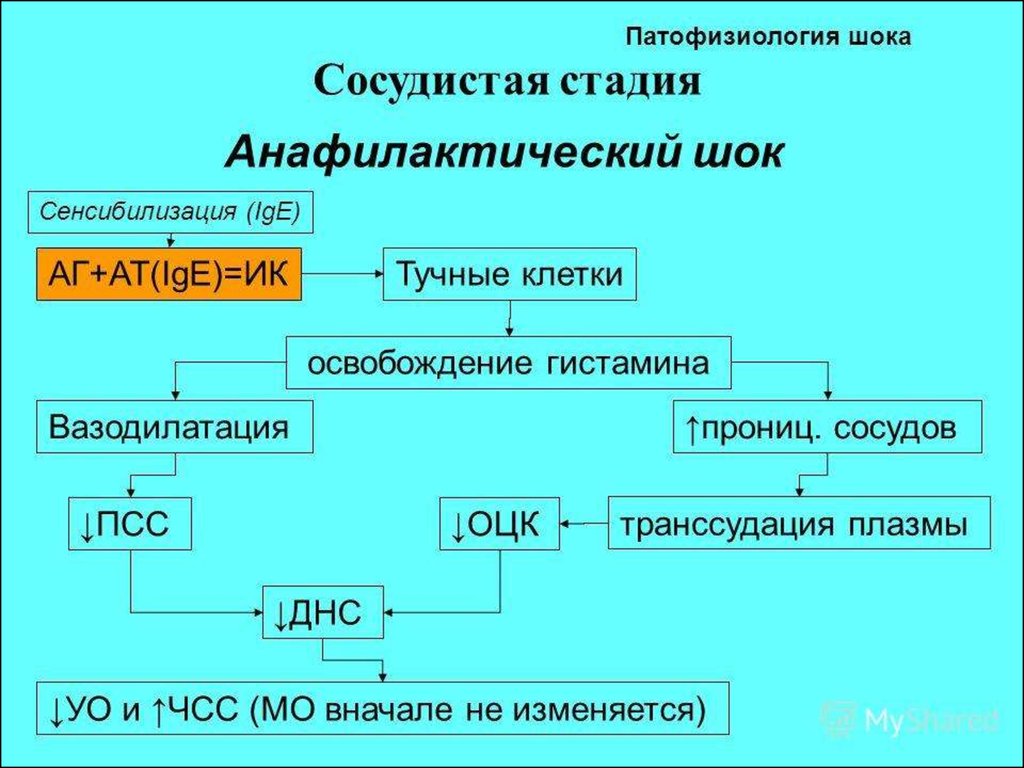 Патологии физиология. Патогенез анафилактического шока схема. Механизм анафилактического шока таблица. Патофизиология анафилактического шока схема. Механизм развития анафилактического шока.