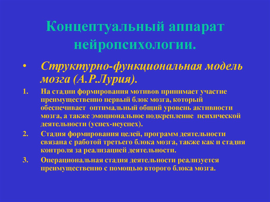 Лурия нейропсихология. Основные понятия нейропсихологии. Этапы развития нейропсихологии. Нейропсихология обучение.