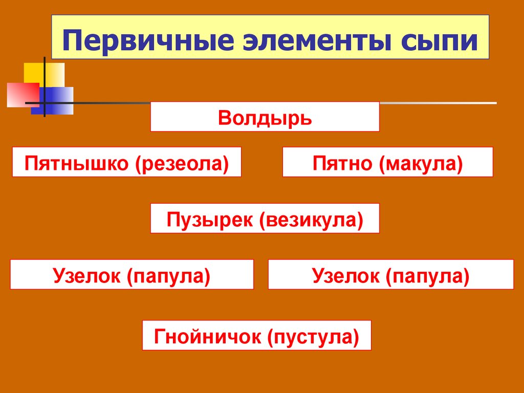 Первичные элементы сыпи. Элементы сыпи классификация. Назовите элементы сыпи (экзантемы):.