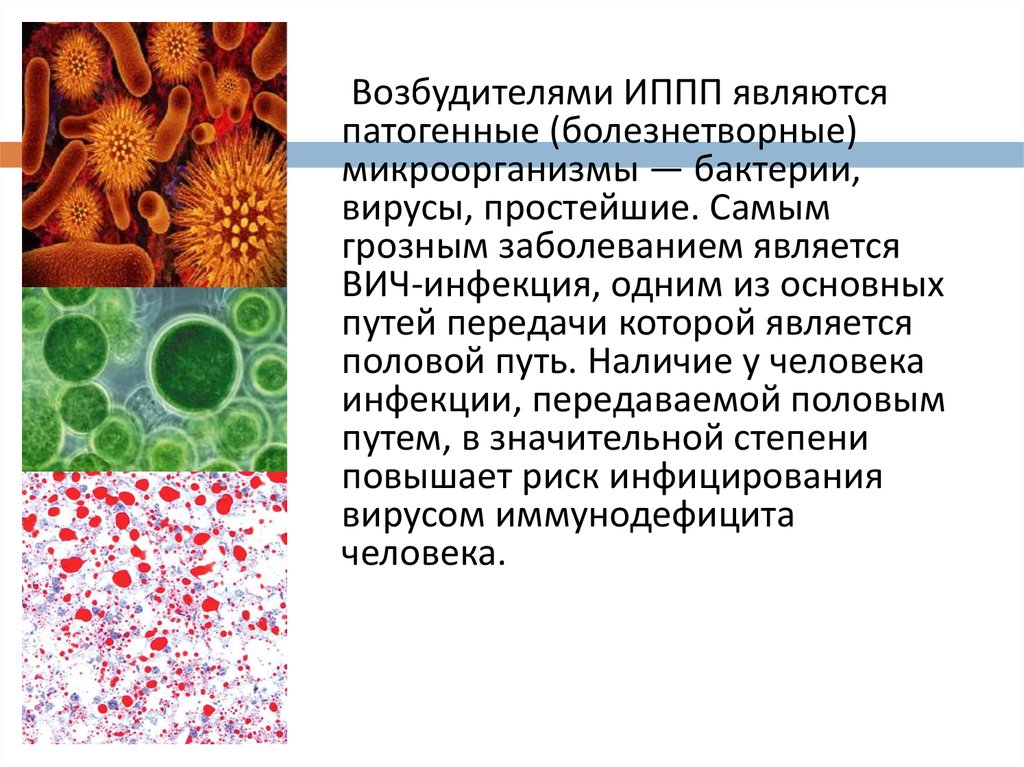 Презентация на тему заболевания передающиеся половым путем