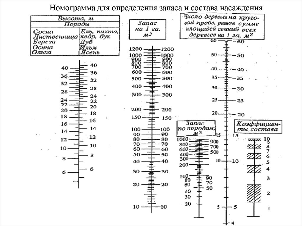 Запас древостоя