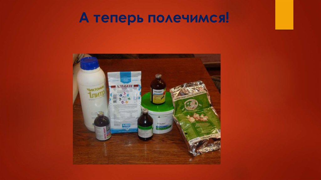 А теперь полечимся!