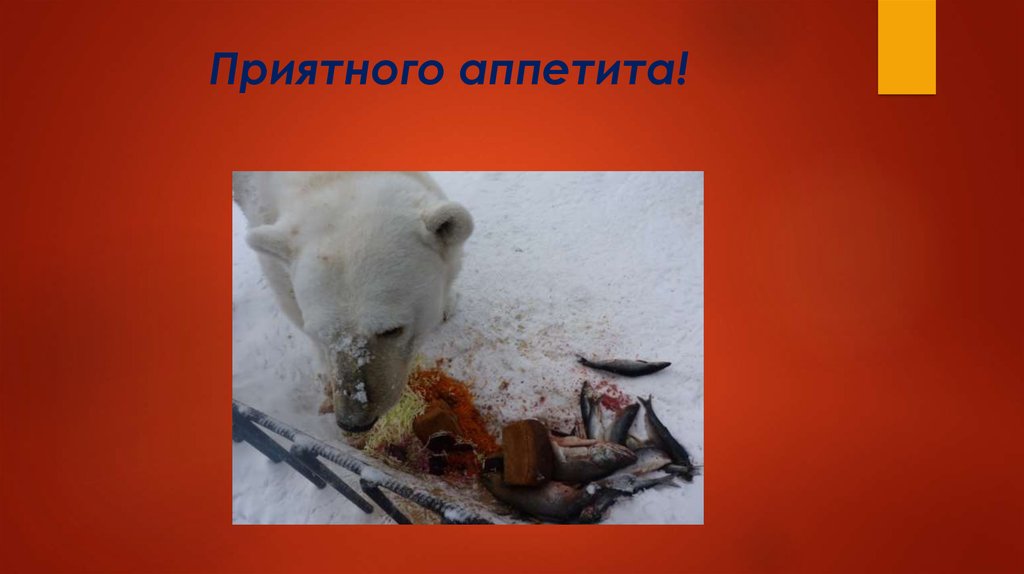 Приятного аппетита!