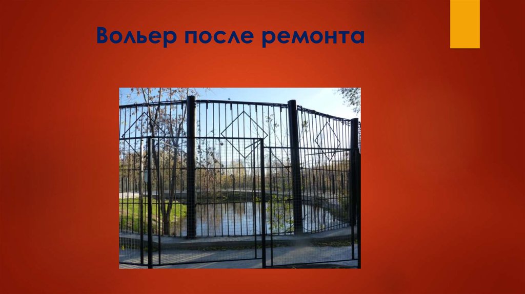 Вольер после ремонта