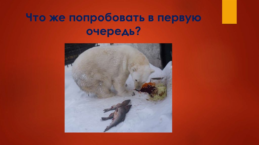 Что же попробовать в первую очередь?