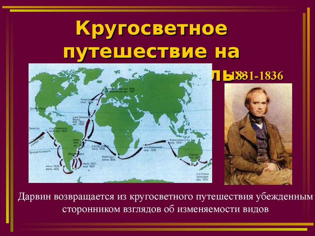 Ч дарвин кругосветное путешествие. Кругосветное путешествие Чарльза Дарвина. Путешествие Дарвина на корабле Бигль. Путешествие Чарльза Дарвина на корабле Бигль маршрут.