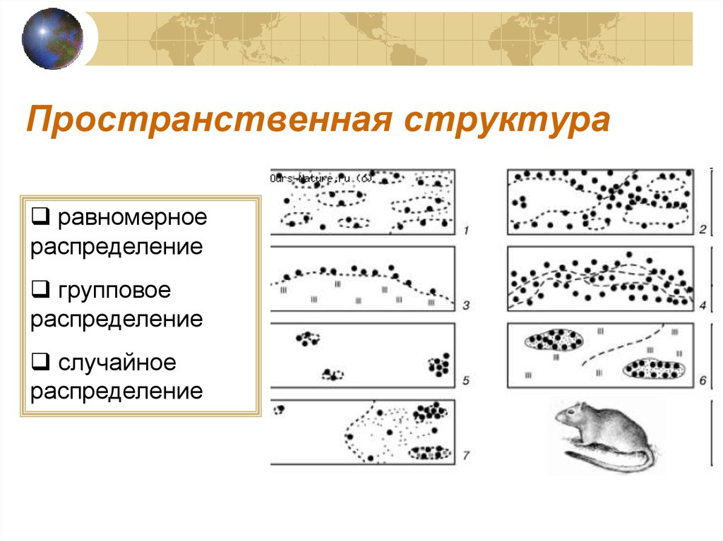 Равномерная структура