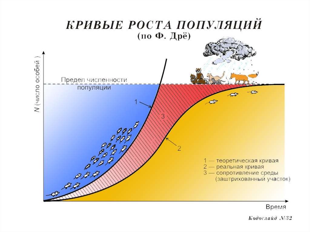 Рост популяции. J образная кривая роста популяции. Кривая роста численности популяции. Теоретические кривые роста популяции. S образная кривая роста популяции.