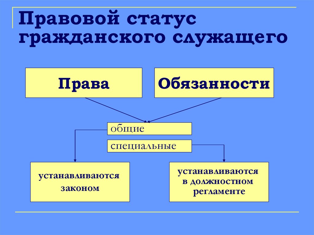 Общие правовые положения