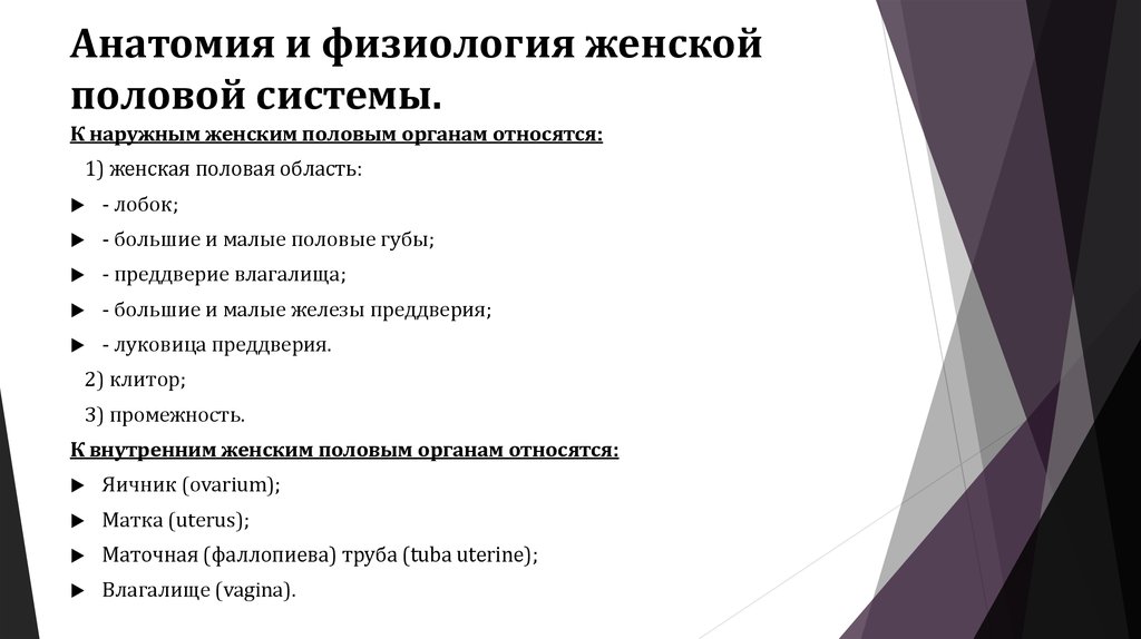 Девушка изучает географию и анатомию на примере члена парня