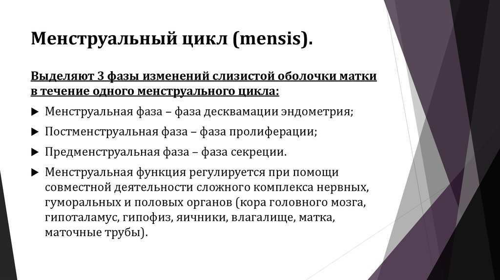 Фаза изменения. Фазы изменений слизистой оболочки матки. Фаза пролиферации менструационного цикла. Фаза десквамации менструационного цикла. Фазы изменений слизистой оболочки матки таблица.