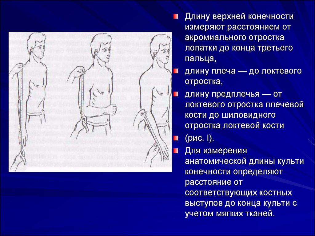 Функциональная длина. Измерение функциональной длины верхней конечности. Верхняя конечность измерить длину. Длина верхней конечности измеряется. Абсолютная и Относительная длина верхней конечности.