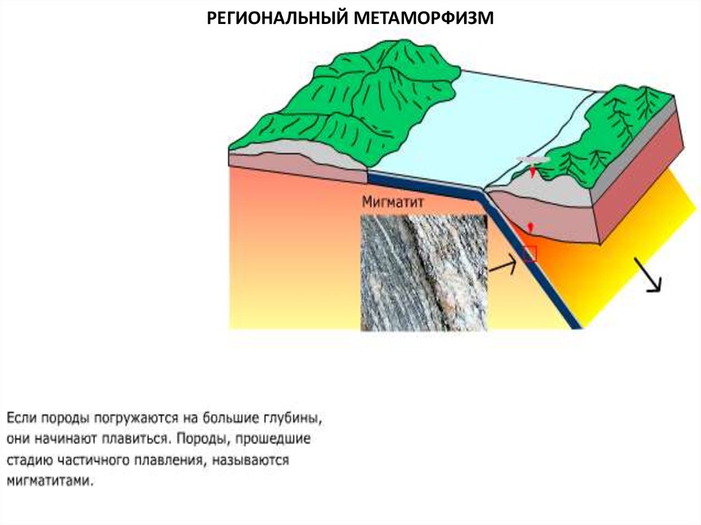 Метаморфические горные породы 5 класс география. Контактовый метаморфизм. Контактовый метаморфизм породы. Контактовый метаморфизм схема. Региональный метаморфизм это в геологии.