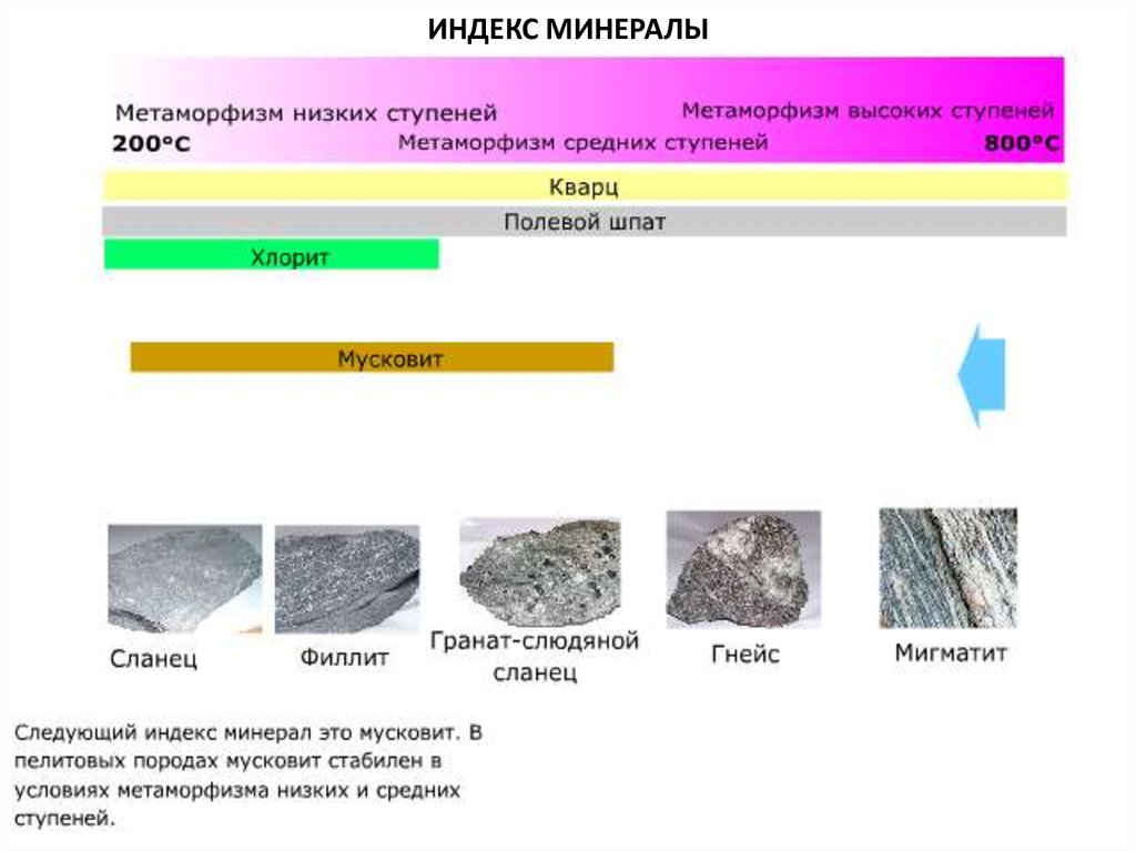 Метаморфические горные породы 5 класс география. Метаморфические горные породы. Метаморфические минералы. Минералы метаморфических пород. Метаморфизм минералов.