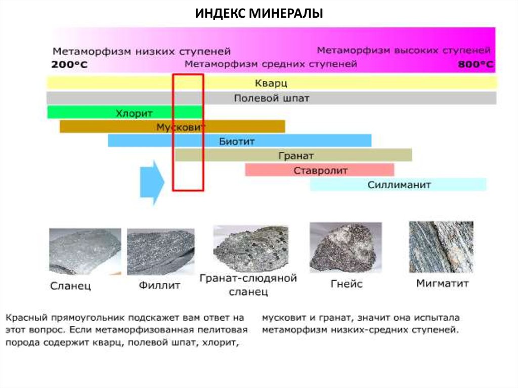 Метаморфические горные породы таблица. Метаморфические горные породы. Минералы метаморфических пород. Метаморфизованные горные породы. Ступени регионального метаморфизма.