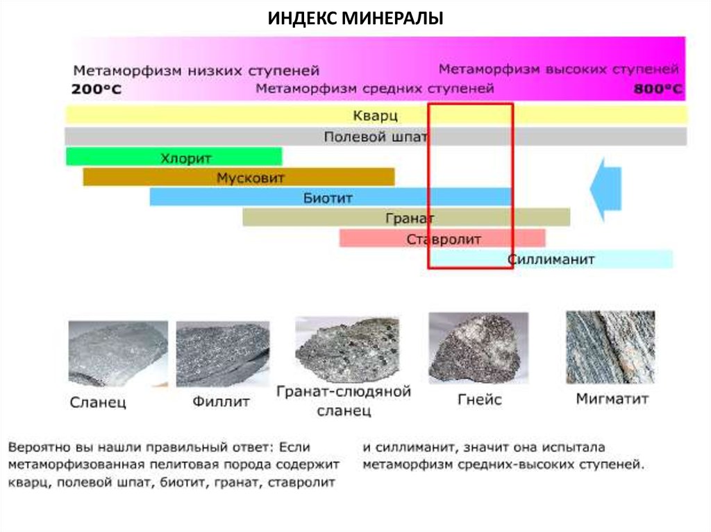 Метаморфизм. Минералы регионального метаморфизма. Метаморфические фации горных пород. Минералы метаморфических пород. Порядок формирования метаморфических минералов.