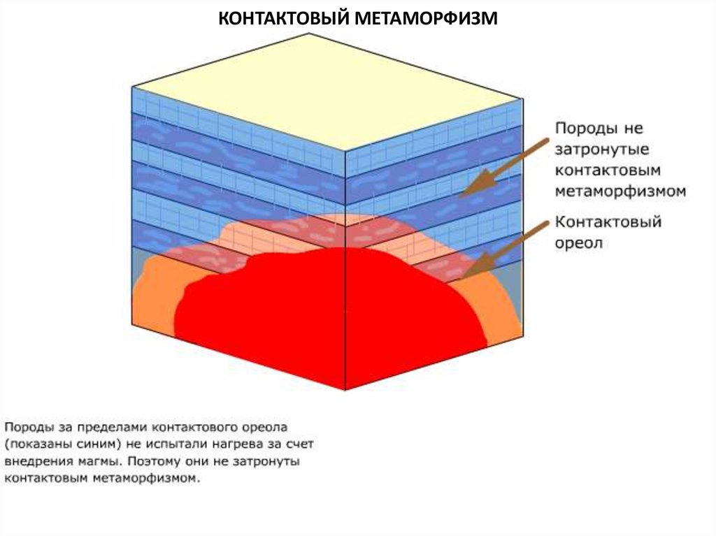 Метаморфизм горных пород