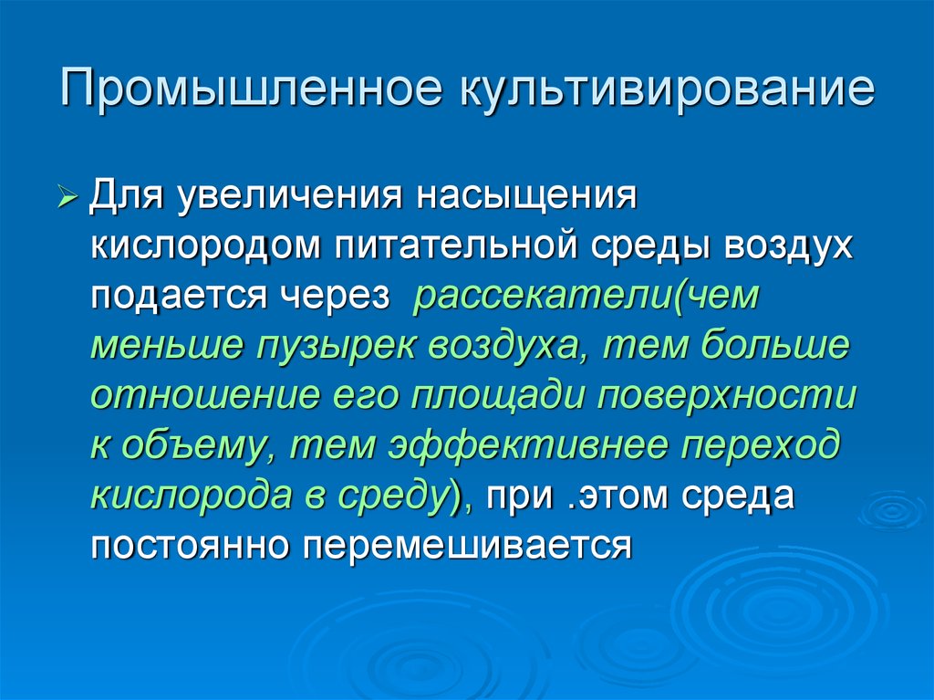 Промышленная микробиология презентация