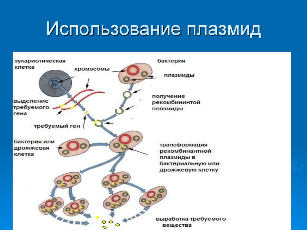 Признаки плазмид