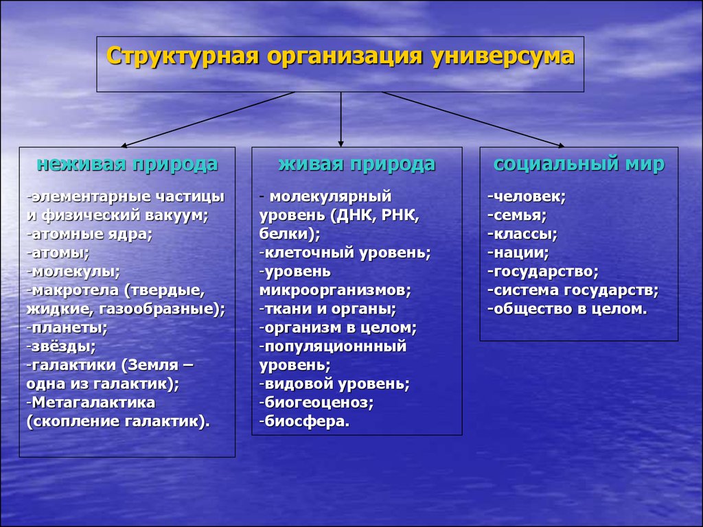 Человеческое бытие характеристика