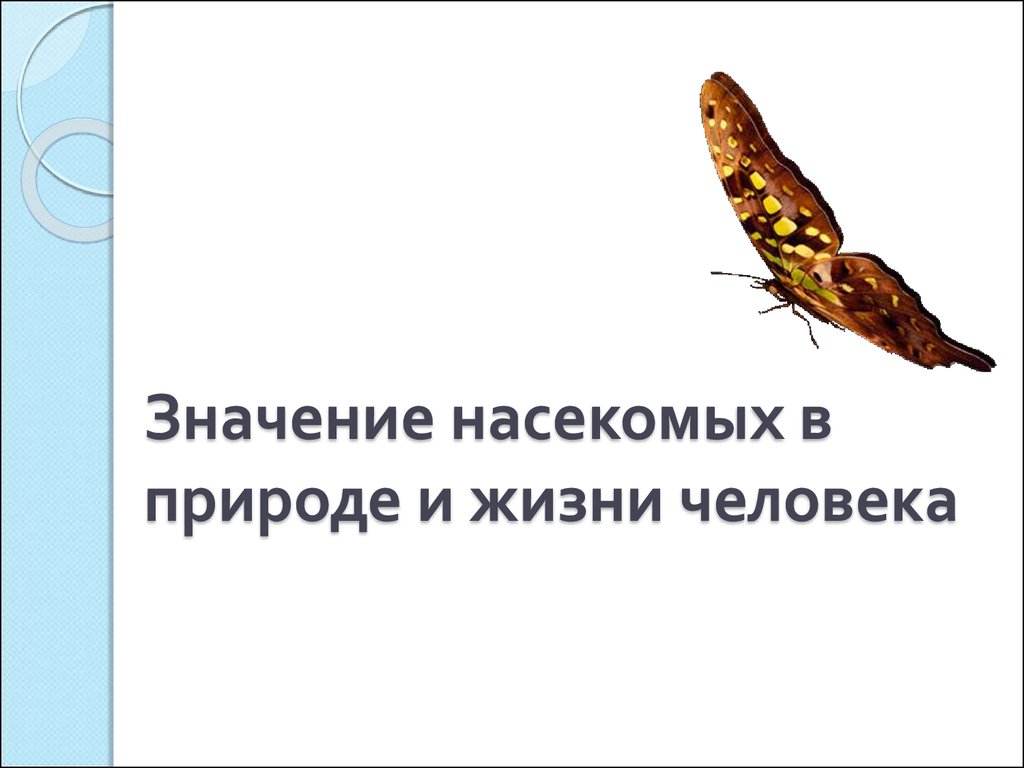 Значение насекомых в природе и жизни человека - презентация онлайн