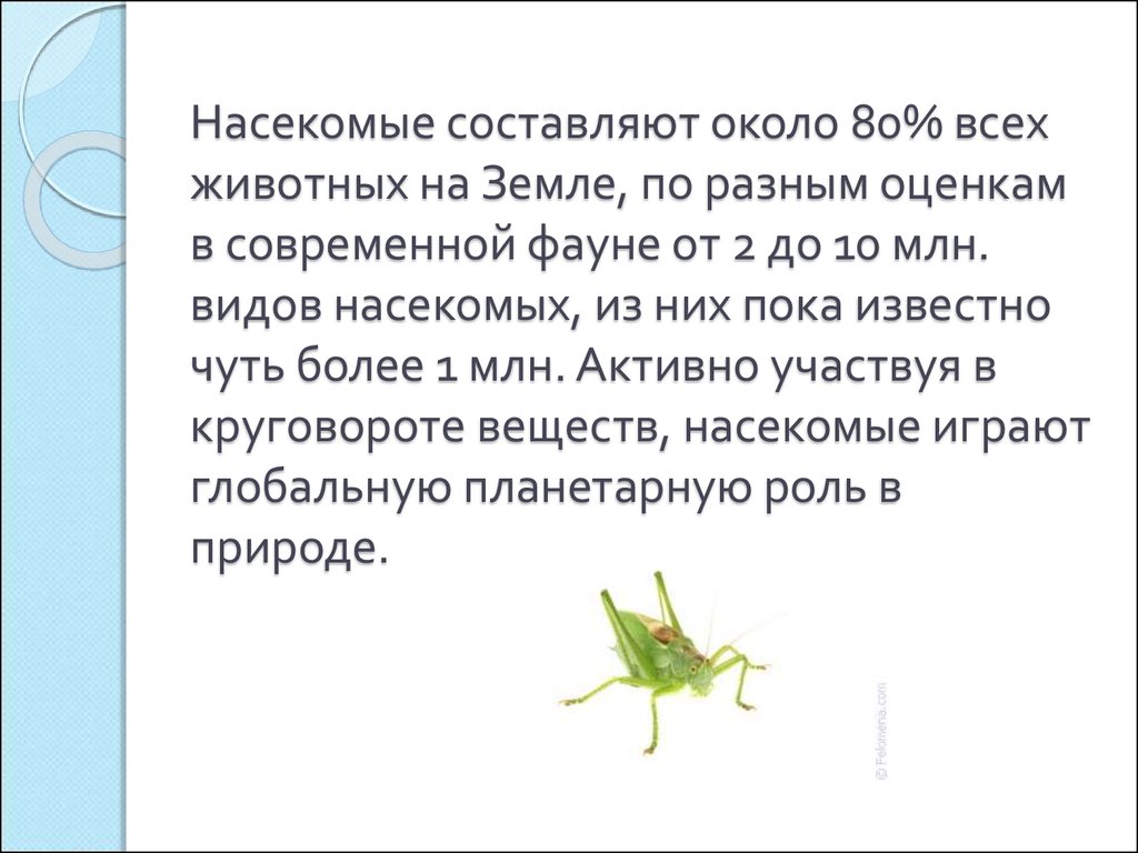 Значение насекомых в природе и жизни человека - презентация онлайн