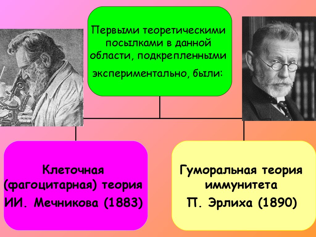 Гуморальная теория. Теория иммунитета Мечникова и Эрлиха. Гуморальная теория иммунитета (п. Эрлих, э. Беринг и др., 1890 г.) -. Автор гуморальной теории иммунитета. Теория иммунитета (и.и. Мечникова, п. Эрлиха).