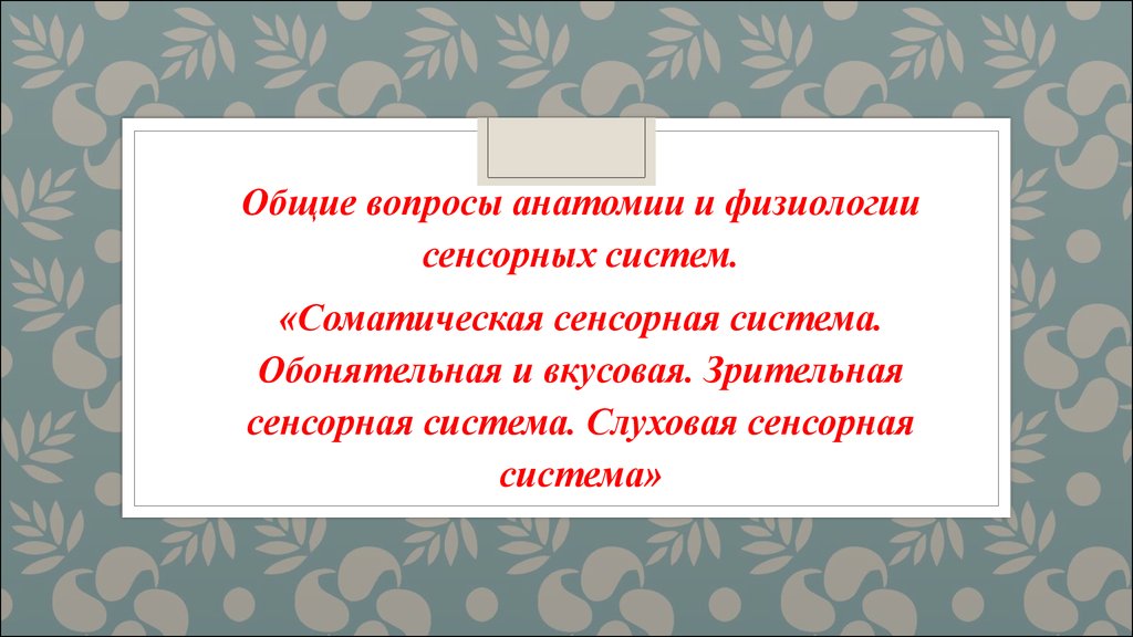 Общие вопросы анатомии и физиологии. Вопросы по анатомии.