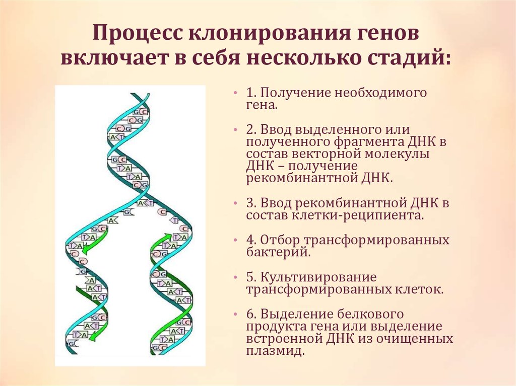 Клонирование системы