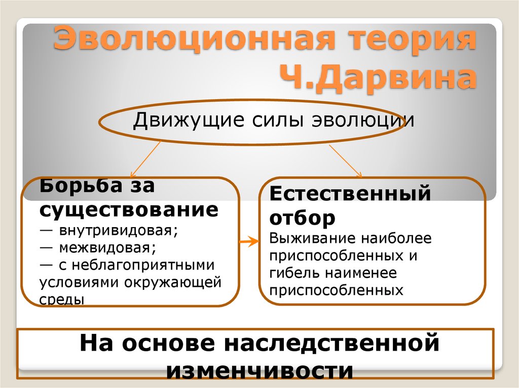 Теория эволюции. Эволюционная теория Чарльза Дарвина презентация. Эволюционная теория ч Дарвина. Ч Дарвин теория эволюции. Теория эволюции Дарвина презентация.