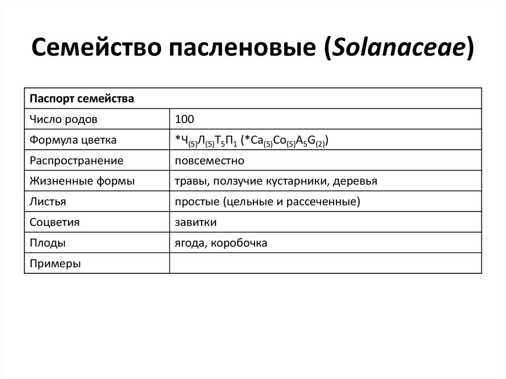 Характеристика 6 класса. Характеристика семейства Пасленовые таблица. Характеристика семейства Пасленовые. Общие признаки семейства пасленовых. Основные признаки семейства Пасленовые.