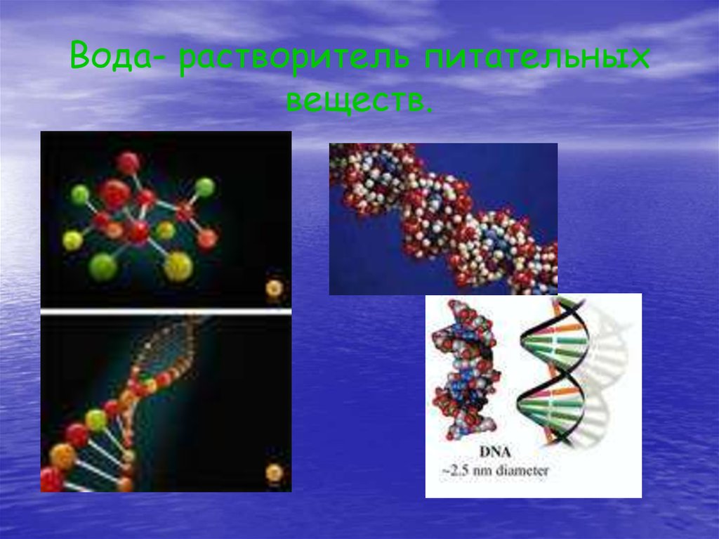 Водное соединение 6. Бинарный урок по физике и химии:. ДНК вода. Бинарный урок презентация. Бинарные занятия картинки.