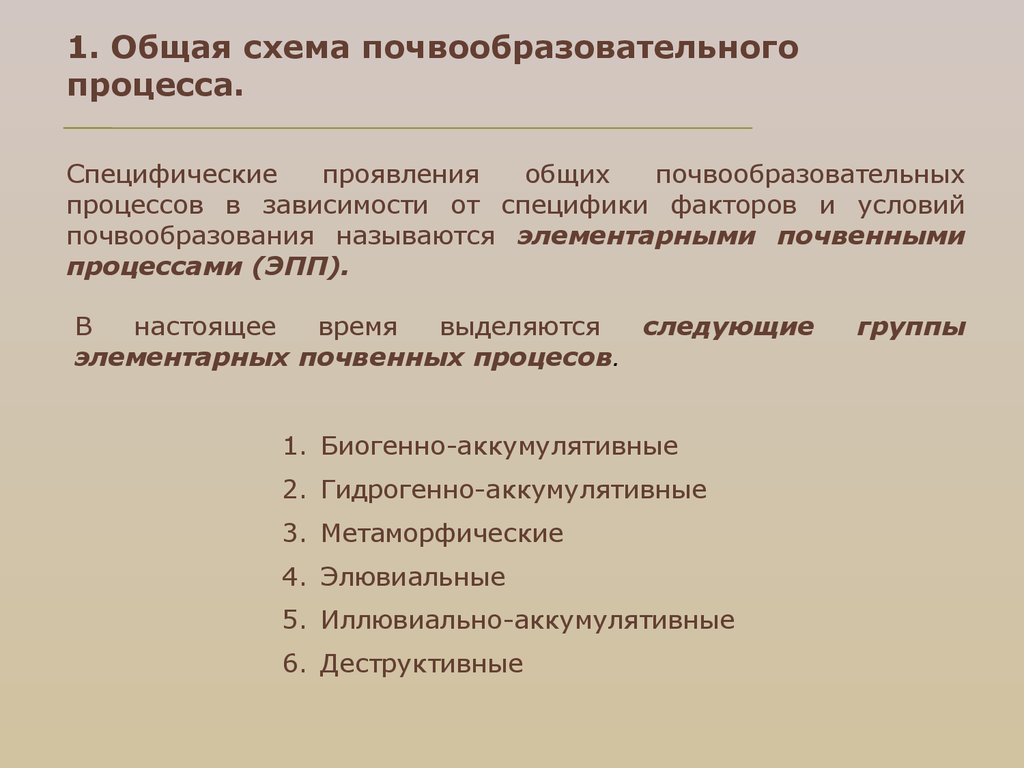 Общая схема почвообразовательного процесса и формирование почвенного профиля