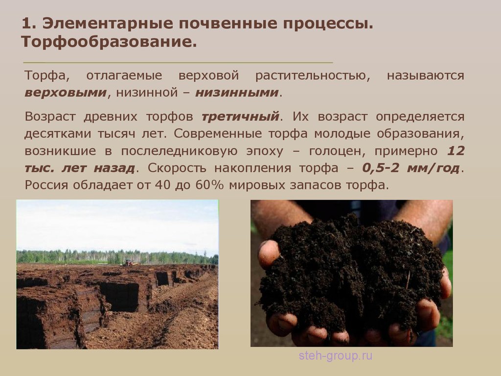 Способы добычи торфа. Элементарные почвенные процессы. Образование торфа. Основные почвенные процессы. Торфообразование почвы.
