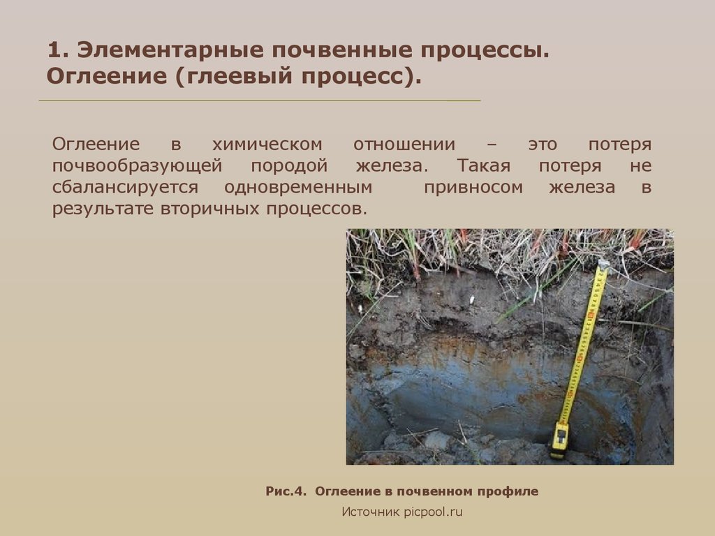 Болотный процесс. Глеевые почвы оглеение. Глеевый Горизонт почвы. Тундрово-глеевые почвы профиль. Оглеение почвы это.