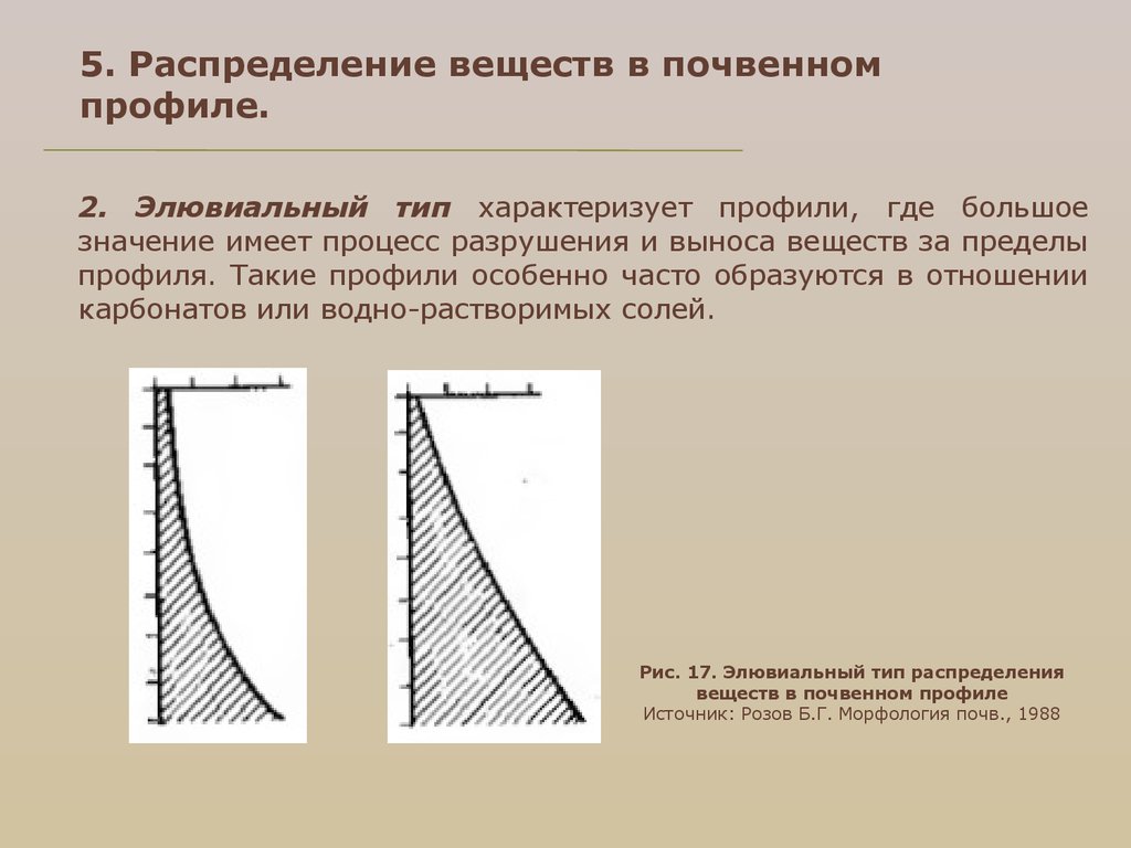 5. Распределение веществ в почвенном профиле.