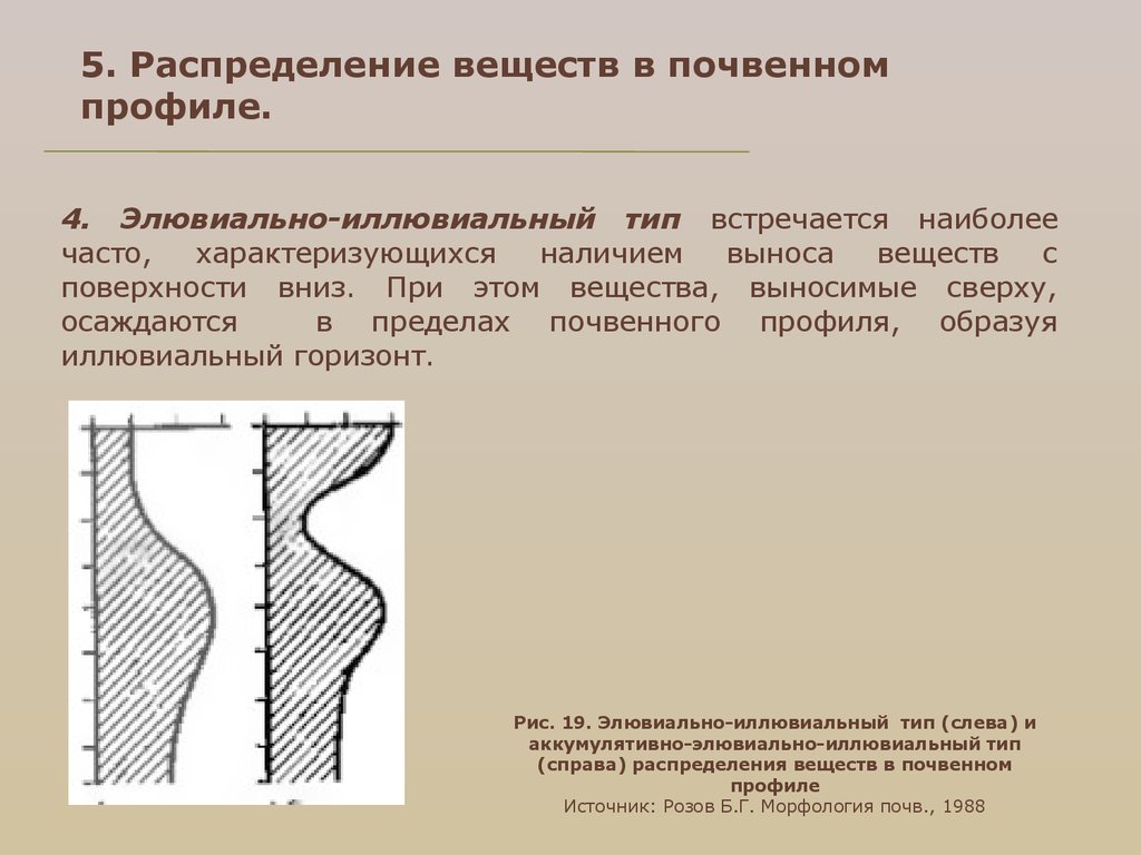 5. Распределение веществ в почвенном профиле.