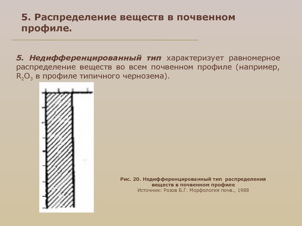 5. Распределение веществ в почвенном профиле.