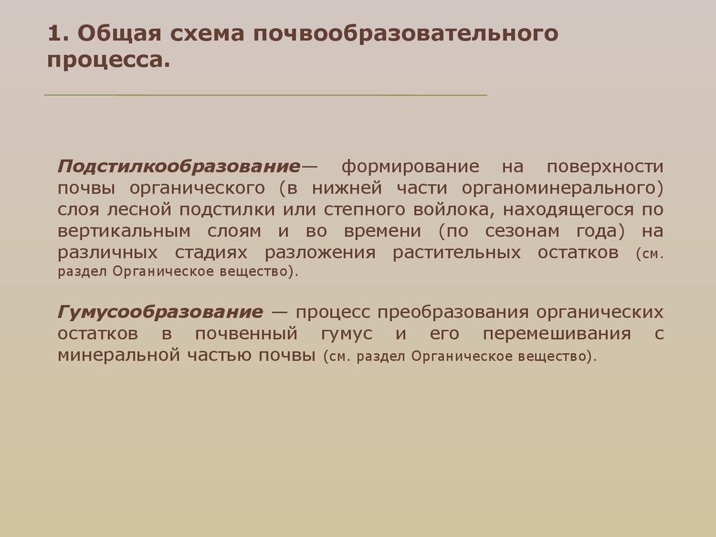 Общая схема почвообразовательного процесса и формирование почвенного профиля