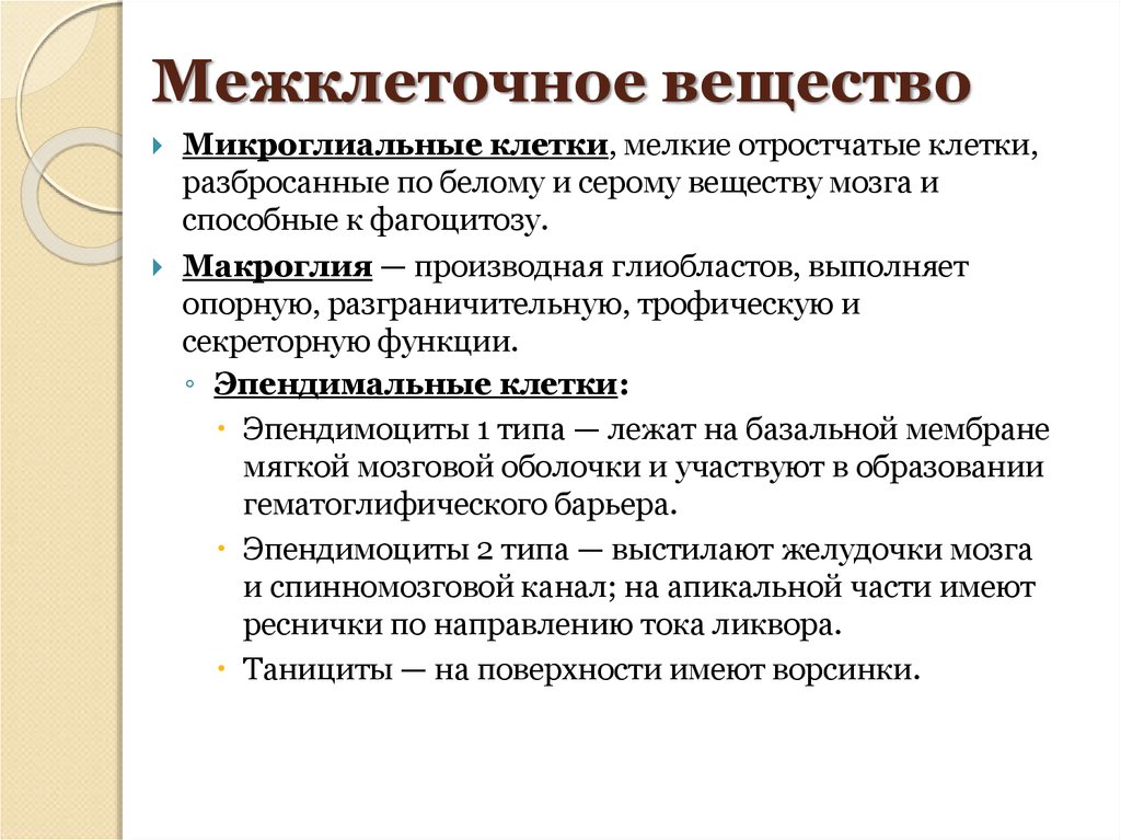 Межклеточное вещество. Функции межклеточного вещества. Межклеточноеное вещество это. Меж клеточнле вещество. Меж клеточное существо.