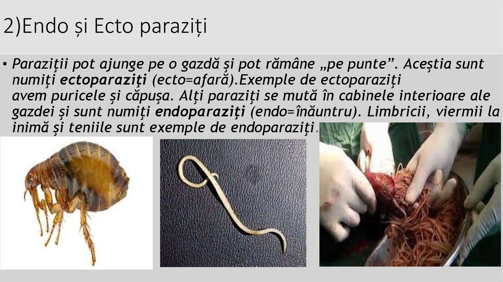 tratament paracelular pentru paraziți)