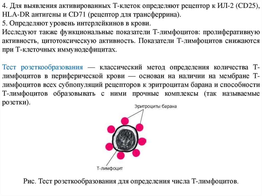 В определенным содержимым в