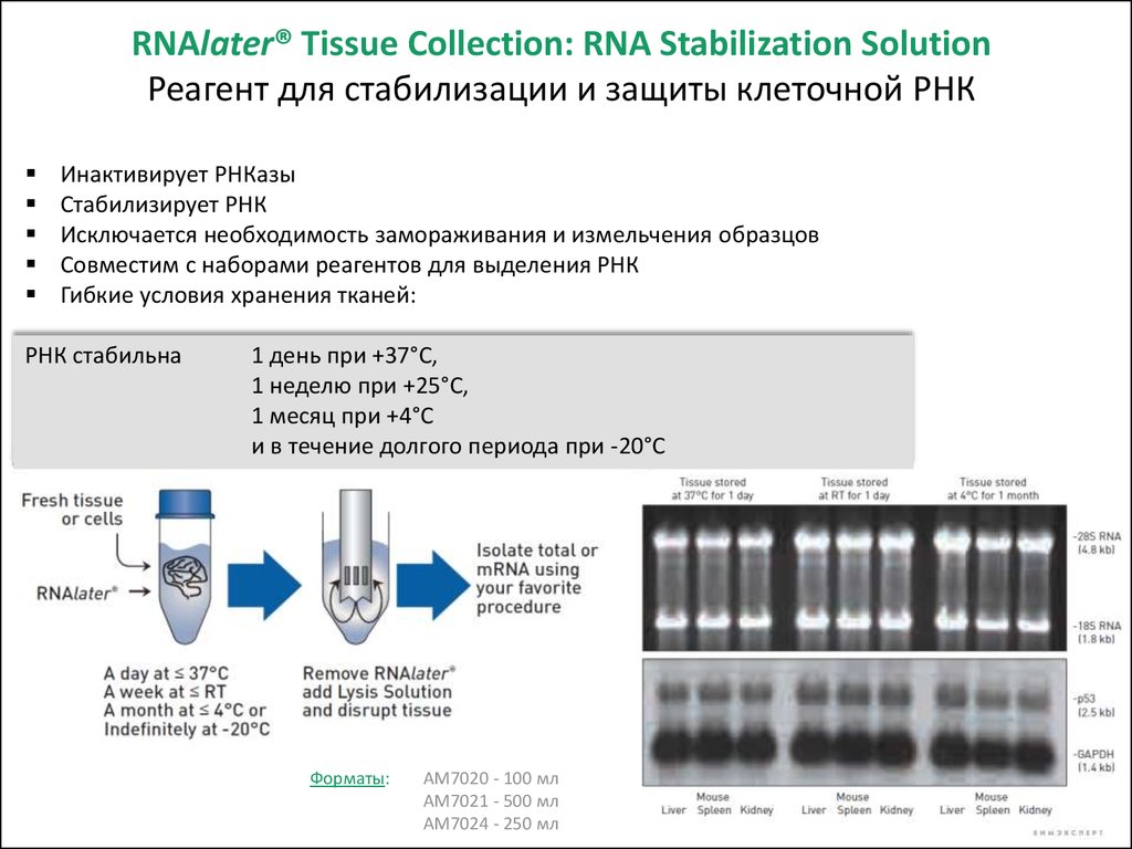 Хранение рнк. Автоматический анализатор ПЦР выделение РНК. Выделение РНК. RNA seq принцип. Устройство пробоподготовки для выделения РНК вируса.
