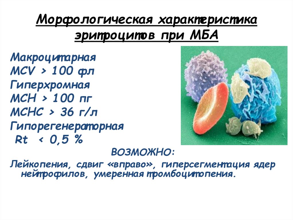 Характеристика эритроцитов. Морфологические особенности эритроцитов. Морфологическая характеристика эритроцитов. Морфологические свойства эритроцитов. Эритроциты характеристика.